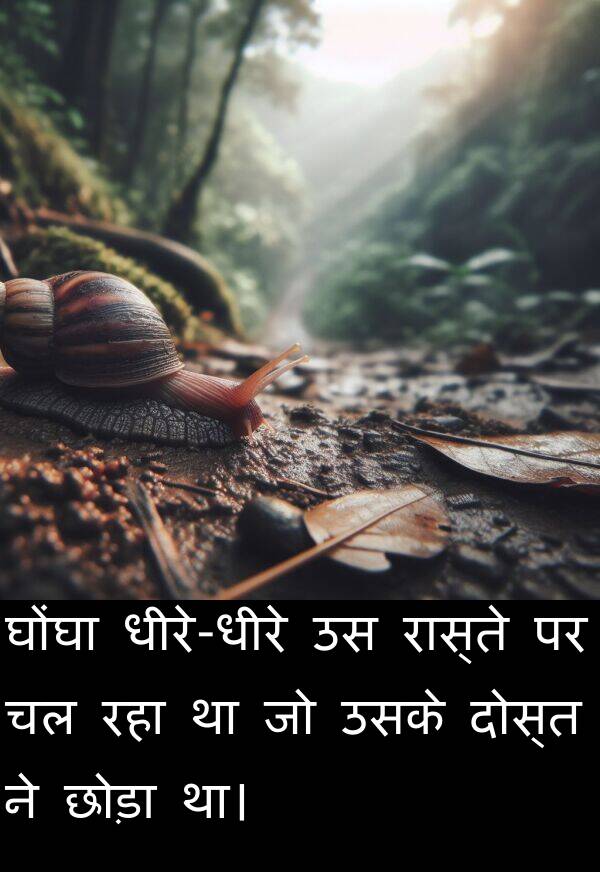 छोड़ा: घोंघा धीरे-धीरे उस रास्ते पर चल रहा था जो उसके दोस्त ने छोड़ा था।