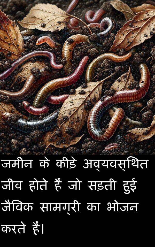 भोजन: जमीन के कीड़े अव्यवस्थित जीव होते हैं जो सड़ती हुई जैविक सामग्री का भोजन करते हैं।