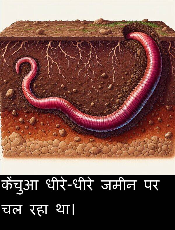 रहा: केंचुआ धीरे-धीरे जमीन पर चल रहा था।
