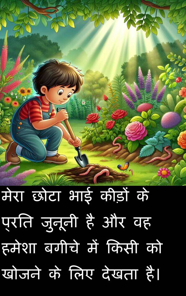 खोजने: मेरा छोटा भाई कीड़ों के प्रति जुनूनी है और वह हमेशा बगीचे में किसी को खोजने के लिए देखता है।