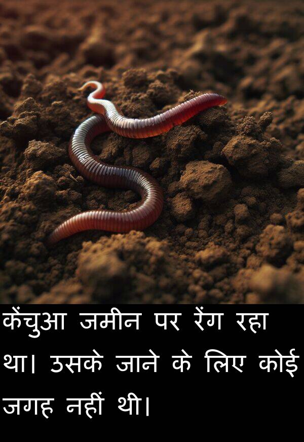 उसके: केंचुआ जमीन पर रेंग रहा था। उसके जाने के लिए कोई जगह नहीं थी।