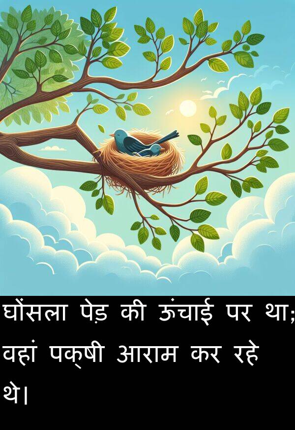 आराम: घोंसला पेड़ की ऊंचाई पर था; वहां पक्षी आराम कर रहे थे।