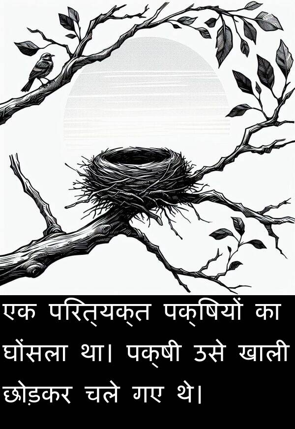 खाली: एक परित्यक्त पक्षियों का घोंसला था। पक्षी उसे खाली छोड़कर चले गए थे।