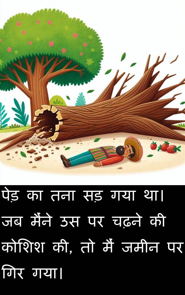 तना: पेड़ का तना सड़ गया था। जब मैंने उस पर चढ़ने की कोशिश की, तो मैं जमीन पर गिर गया।