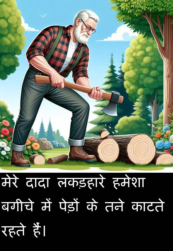 लकड़हारे: मेरे दादा लकड़हारे हमेशा बगीचे में पेड़ों के तने काटते रहते हैं।