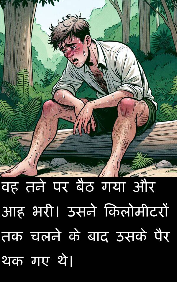 भरी।: वह तने पर बैठ गया और आह भरी। उसने किलोमीटरों तक चलने के बाद उसके पैर थक गए थे।