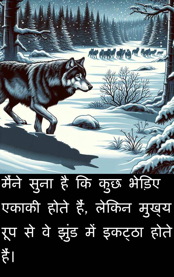 भेड़िए: मैंने सुना है कि कुछ भेड़िए एकाकी होते हैं, लेकिन मुख्य रूप से वे झुंड में इकट्ठा होते हैं।