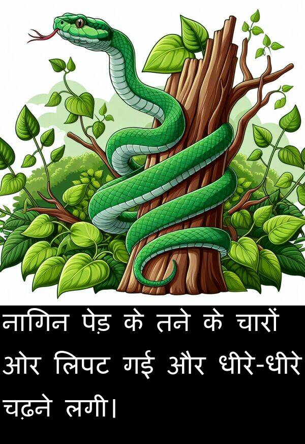 लगी।: नागिन पेड़ के तने के चारों ओर लिपट गई और धीरे-धीरे चढ़ने लगी।
