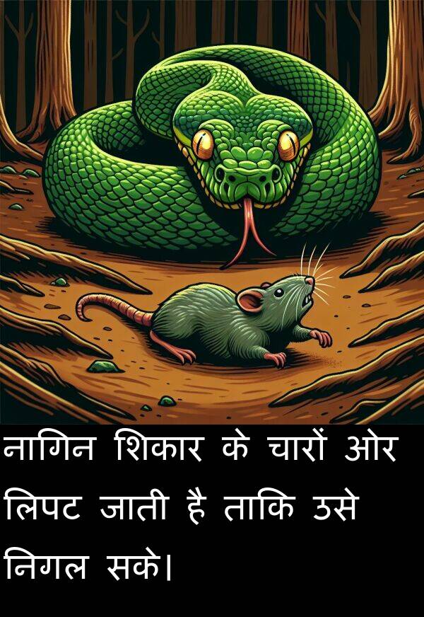 लिपट: नागिन शिकार के चारों ओर लिपट जाती है ताकि उसे निगल सके।