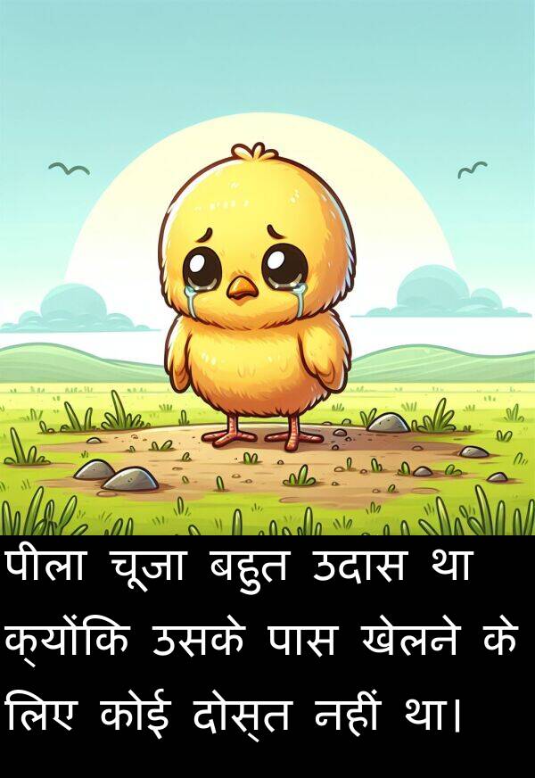 खेलने: पीला चूजा बहुत उदास था क्योंकि उसके पास खेलने के लिए कोई दोस्त नहीं था।