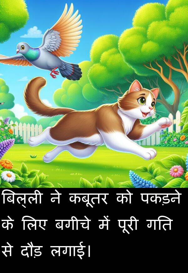 लगाई।: बिल्ली ने कबूतर को पकड़ने के लिए बगीचे में पूरी गति से दौड़ लगाई।