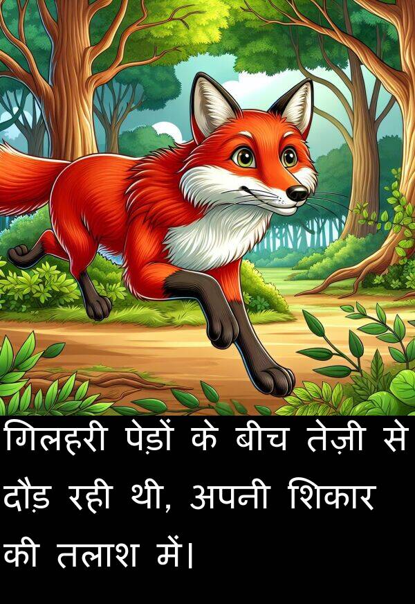 तलाश: गिलहरी पेड़ों के बीच तेज़ी से दौड़ रही थी, अपनी शिकार की तलाश में।