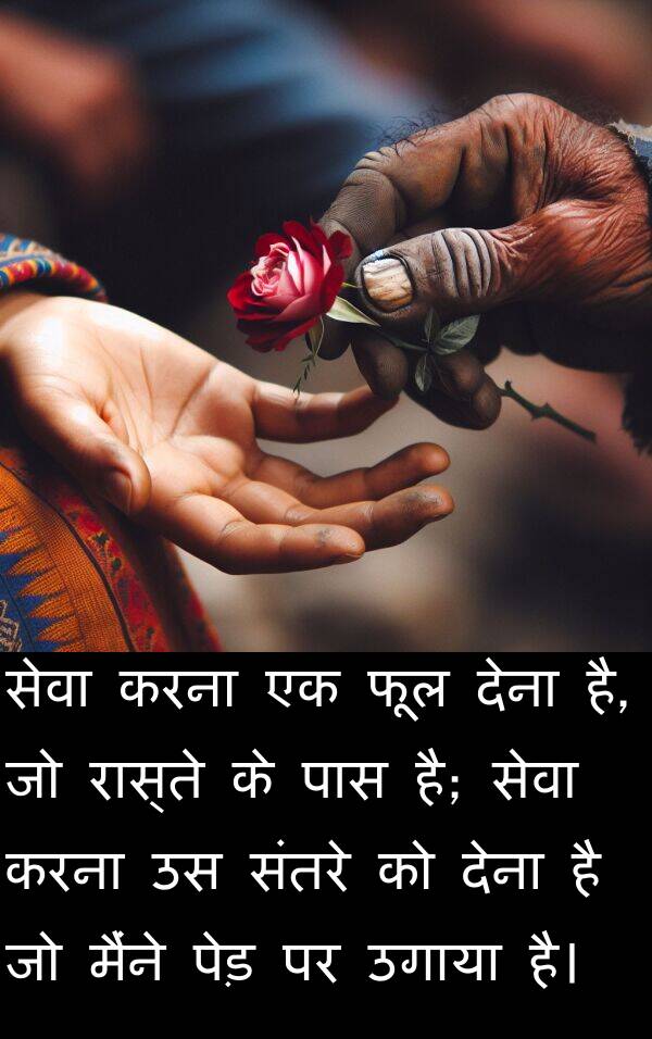 फूल: सेवा करना एक फूल देना है, जो रास्ते के पास है; सेवा करना उस संतरे को देना है जो मैंने पेड़ पर उगाया है।