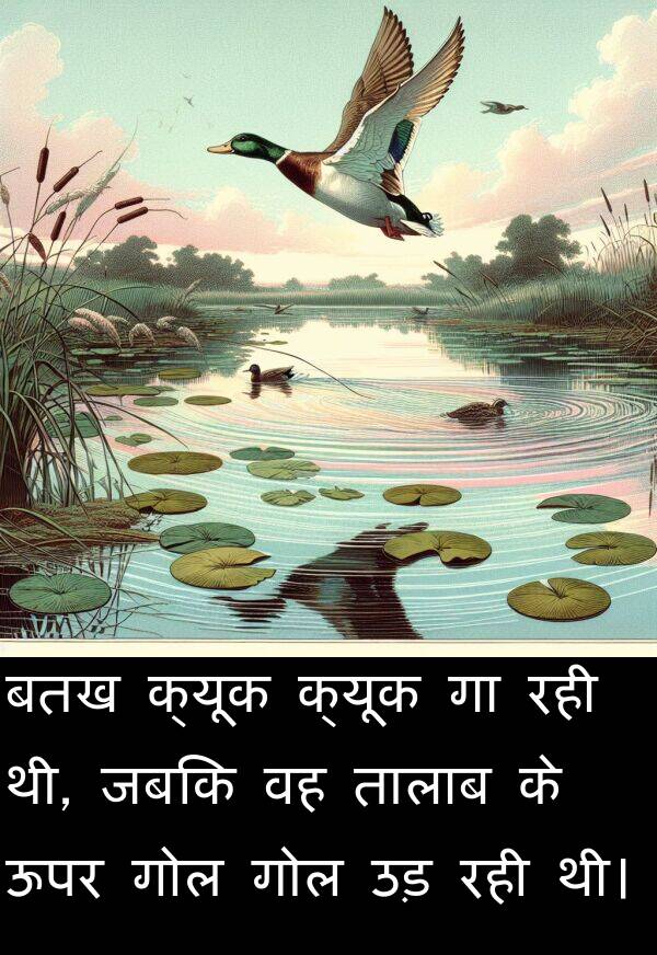 उड़: बतख क्यूक क्यूक गा रही थी, जबकि वह तालाब के ऊपर गोल गोल उड़ रही थी।