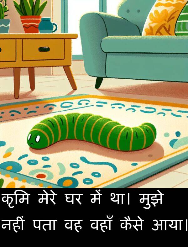 पता: कृमि मेरे घर में था। मुझे नहीं पता वह वहाँ कैसे आया।