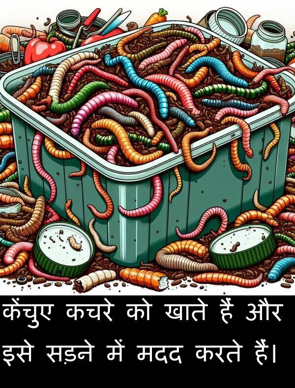 खाते: केंचुए कचरे को खाते हैं और इसे सड़ने में मदद करते हैं।