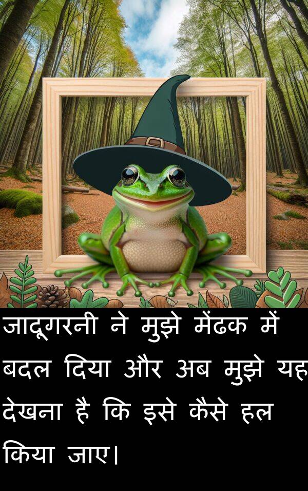 बदल: जादूगरनी ने मुझे मेंढक में बदल दिया और अब मुझे यह देखना है कि इसे कैसे हल किया जाए।