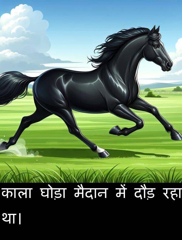 रहा: काला घोड़ा मैदान में दौड़ रहा था।