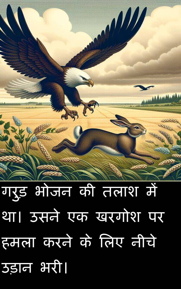 खरगोश: गरुड़ भोजन की तलाश में था। उसने एक खरगोश पर हमला करने के लिए नीचे उड़ान भरी।
