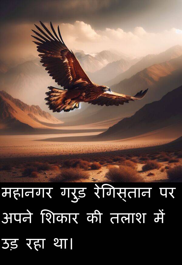 उड़: महानगर गरुड़ रेगिस्तान पर अपने शिकार की तलाश में उड़ रहा था।