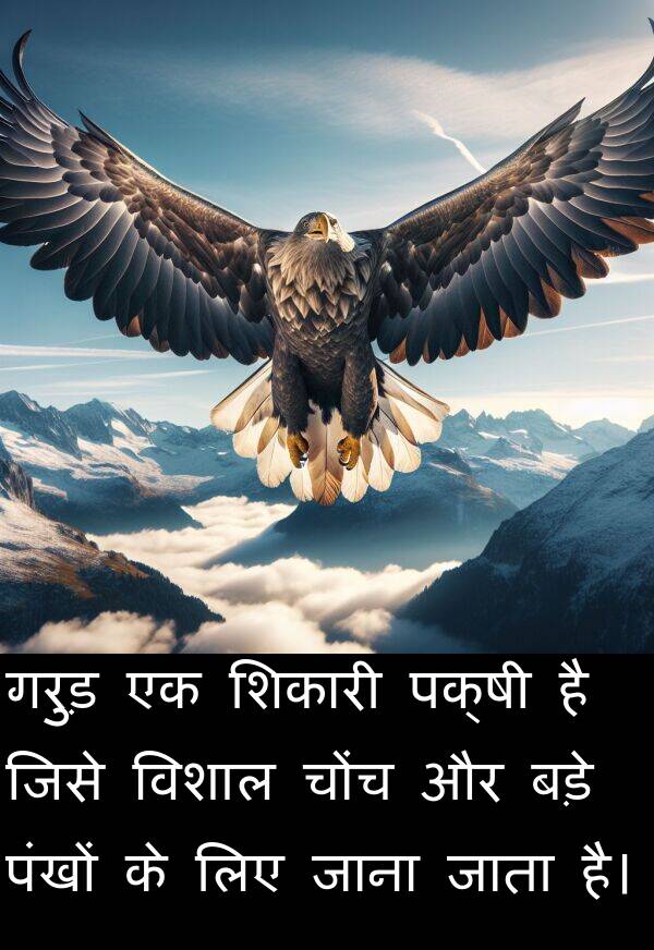 पंखों: गरुड़ एक शिकारी पक्षी है जिसे विशाल चोंच और बड़े पंखों के लिए जाना जाता है।