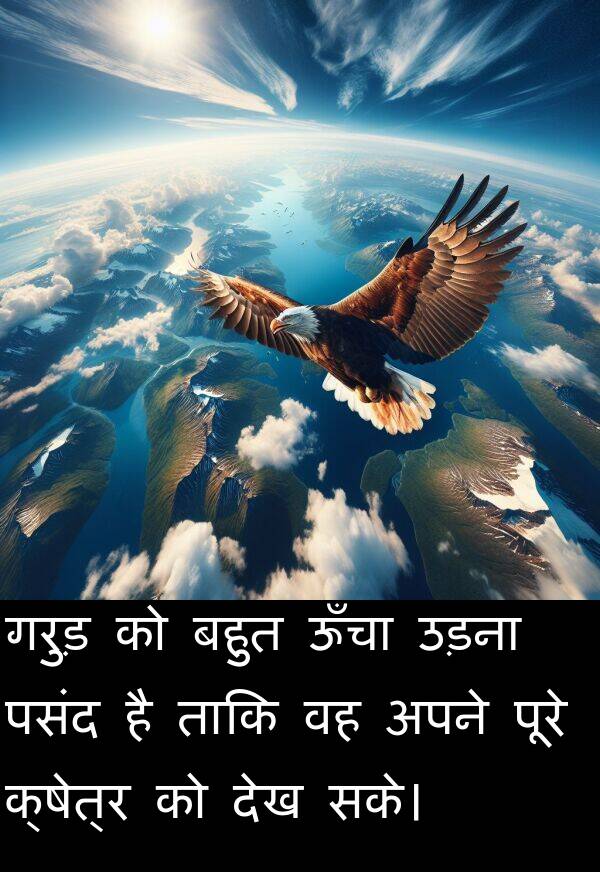 उड़ना: गरुड़ को बहुत ऊँचा उड़ना पसंद है ताकि वह अपने पूरे क्षेत्र को देख सके।