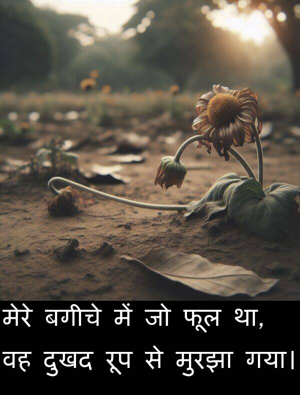 फूल: मेरे बगीचे में जो फूल था, वह दुखद रूप से मुरझा गया।