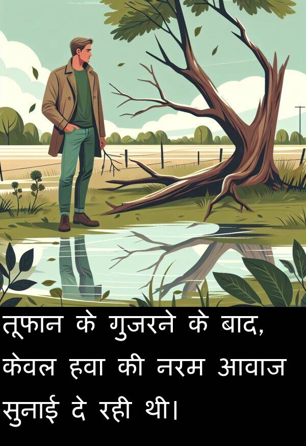 आवाज: तूफान के गुजरने के बाद, केवल हवा की नरम आवाज सुनाई दे रही थी।