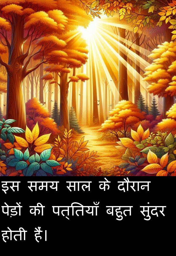 पत्तियाँ: इस समय साल के दौरान पेड़ों की पत्तियाँ बहुत सुंदर होती हैं।
