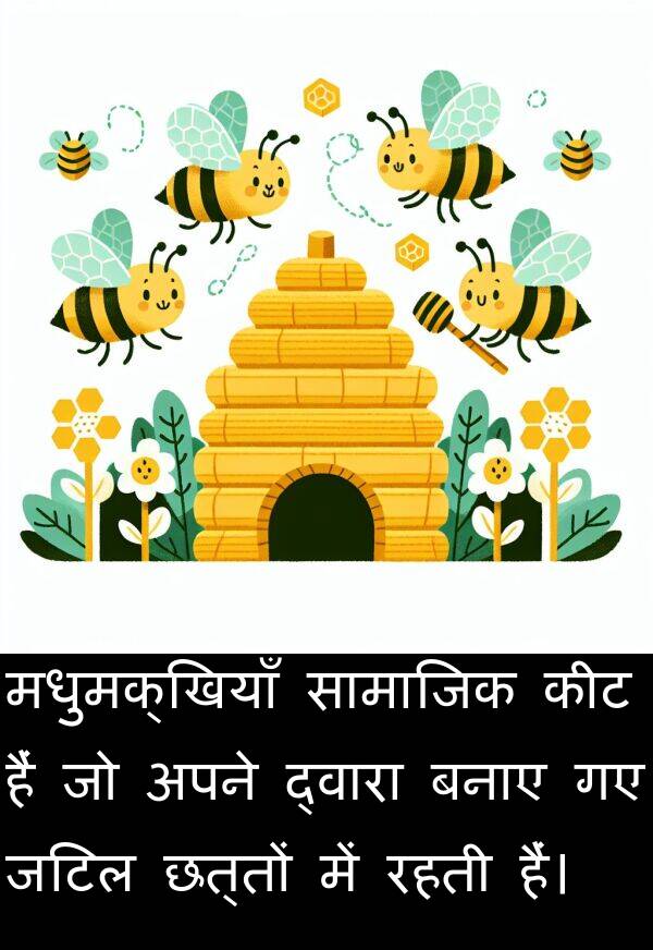 छत्तों: मधुमक्खियाँ सामाजिक कीट हैं जो अपने द्वारा बनाए गए जटिल छत्तों में रहती हैं।