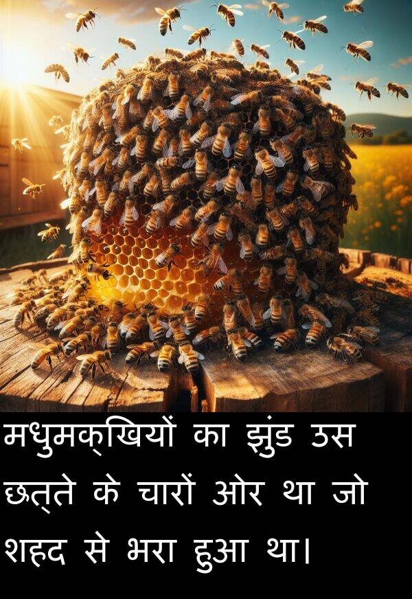 छत्ते: मधुमक्खियों का झुंड उस छत्ते के चारों ओर था जो शहद से भरा हुआ था।