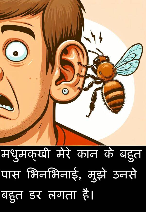 उनसे: मधुमक्खी मेरे कान के बहुत पास भिनभिनाई, मुझे उनसे बहुत डर लगता है।