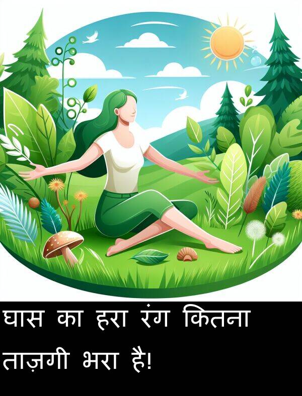 ताज़गी: घास का हरा रंग कितना ताज़गी भरा है!