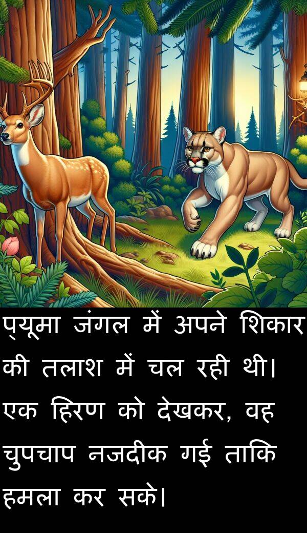 नजदीक: प्यूमा जंगल में अपने शिकार की तलाश में चल रही थी। एक हिरण को देखकर, वह चुपचाप नजदीक गई ताकि हमला कर सके।