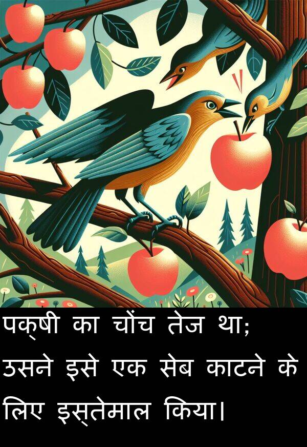 चोंच: पक्षी का चोंच तेज था; उसने इसे एक सेब काटने के लिए इस्तेमाल किया।