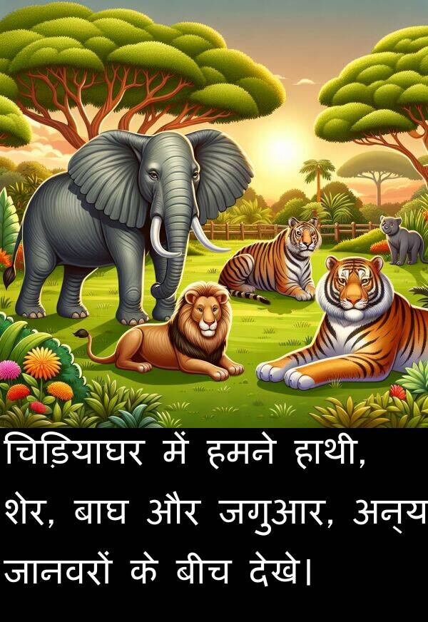हाथी: चिड़ियाघर में हमने हाथी, शेर, बाघ और जगुआर, अन्य जानवरों के बीच देखे।