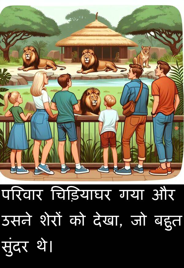 परिवार: परिवार चिड़ियाघर गया और उसने शेरों को देखा, जो बहुत सुंदर थे।