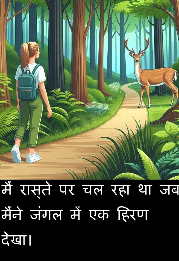 हिरण: मैं रास्ते पर चल रहा था जब मैंने जंगल में एक हिरण देखा।