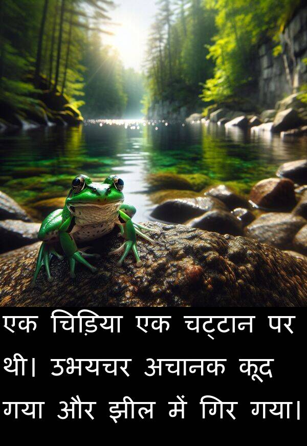 उभयचर: एक चिड़िया एक चट्टान पर थी। उभयचर अचानक कूद गया और झील में गिर गया।