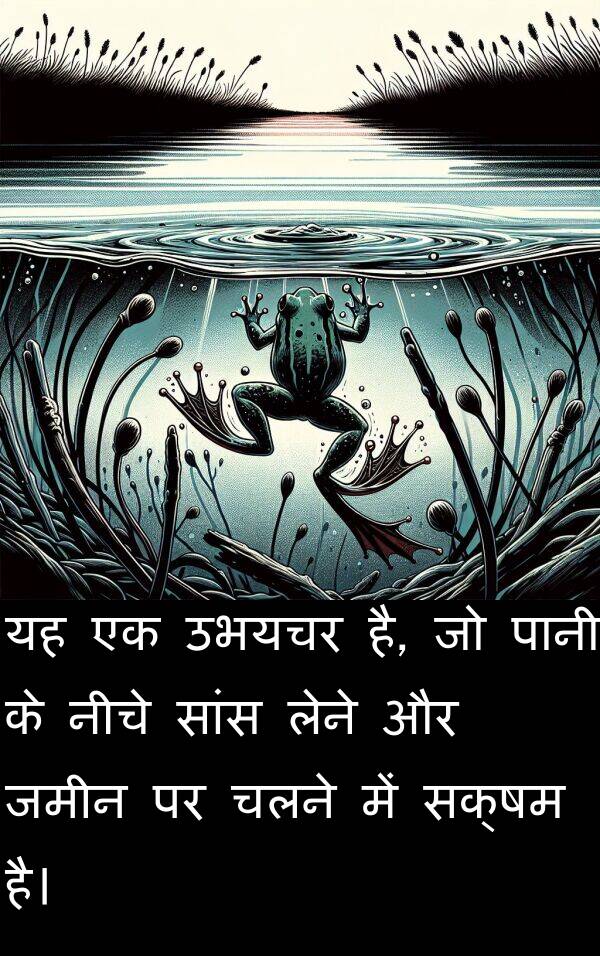 लेने: यह एक उभयचर है, जो पानी के नीचे सांस लेने और जमीन पर चलने में सक्षम है।