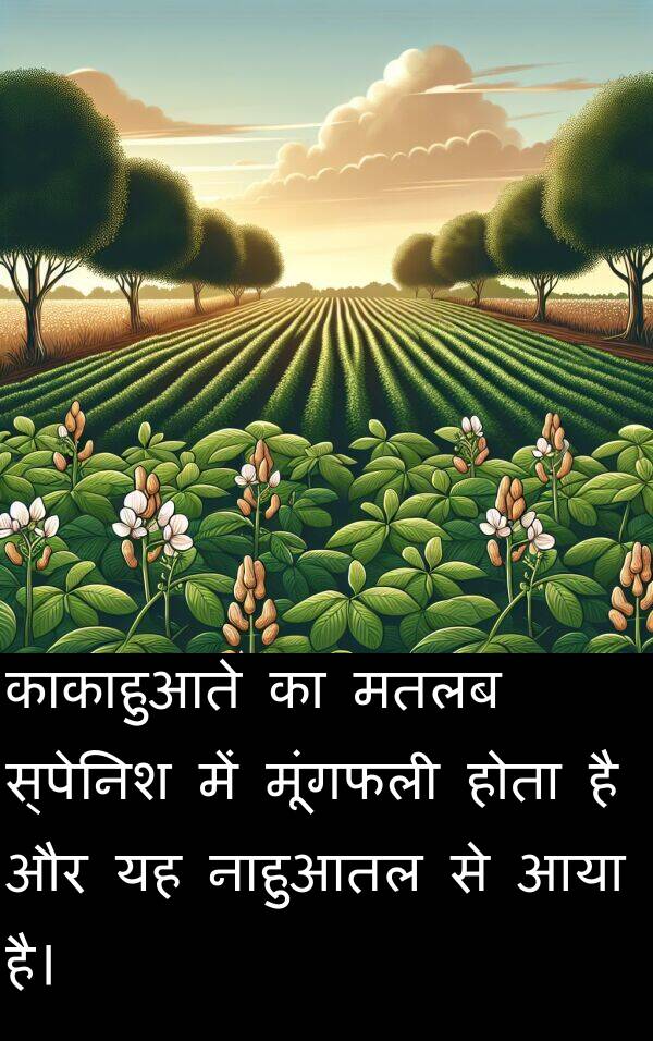 नाहुआतल: काकाहुआते का मतलब स्पेनिश में मूंगफली होता है और यह नाहुआतल से आया है।