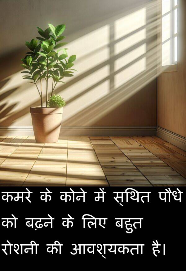 बढ़ने: कमरे के कोने में स्थित पौधे को बढ़ने के लिए बहुत रोशनी की आवश्यकता है।