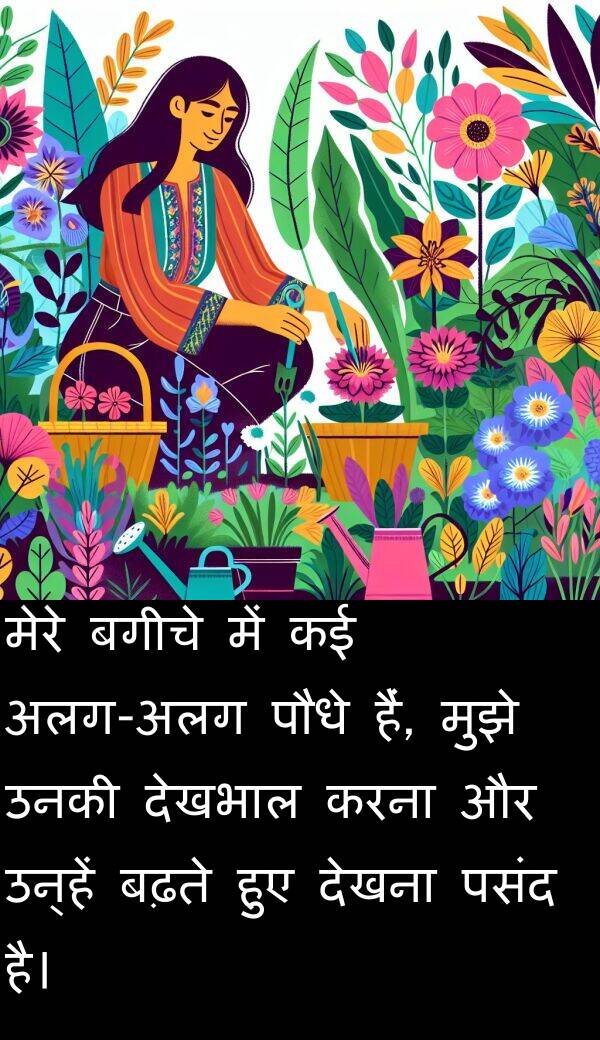 उनकी: मेरे बगीचे में कई अलग-अलग पौधे हैं, मुझे उनकी देखभाल करना और उन्हें बढ़ते हुए देखना पसंद है।