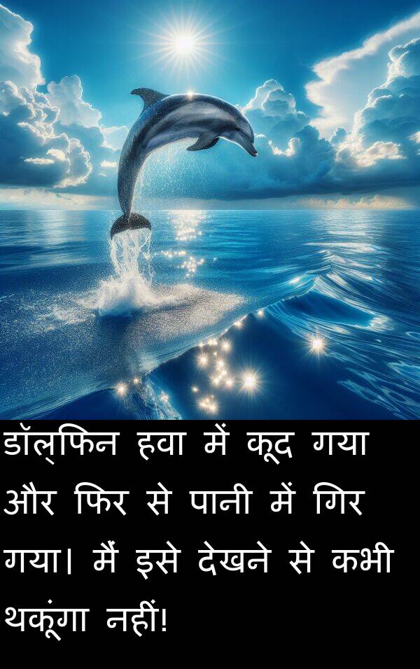 गिर: डॉल्फिन हवा में कूद गया और फिर से पानी में गिर गया। मैं इसे देखने से कभी थकूंगा नहीं!