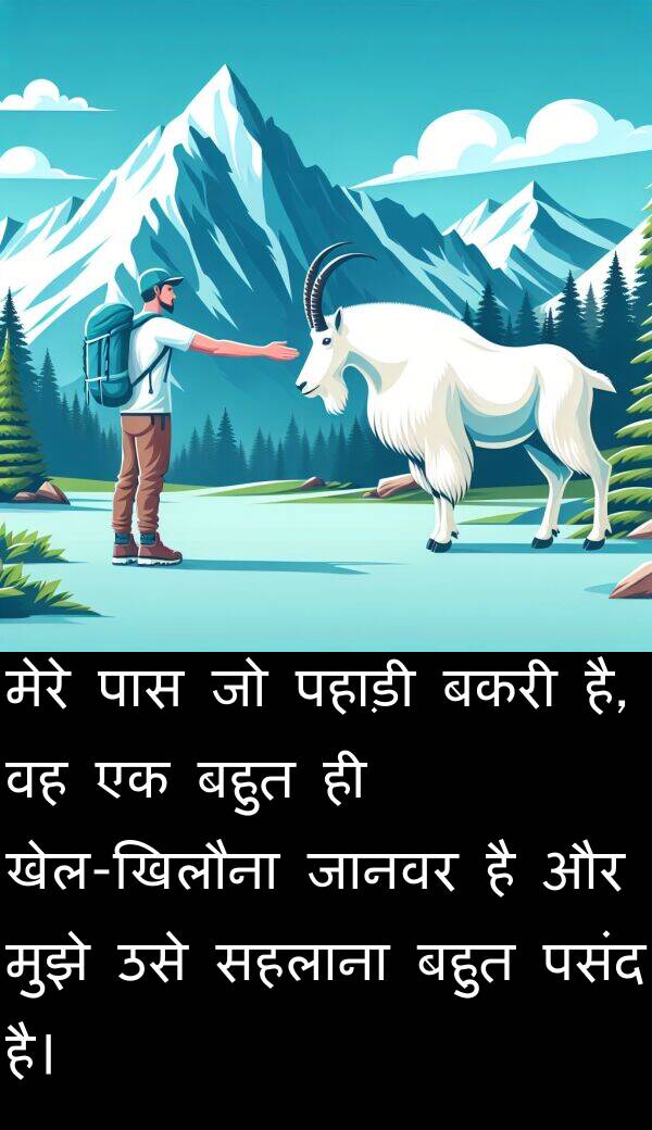 पहाड़ी: मेरे पास जो पहाड़ी बकरी है, वह एक बहुत ही खेल-खिलौना जानवर है और मुझे उसे सहलाना बहुत पसंद है।