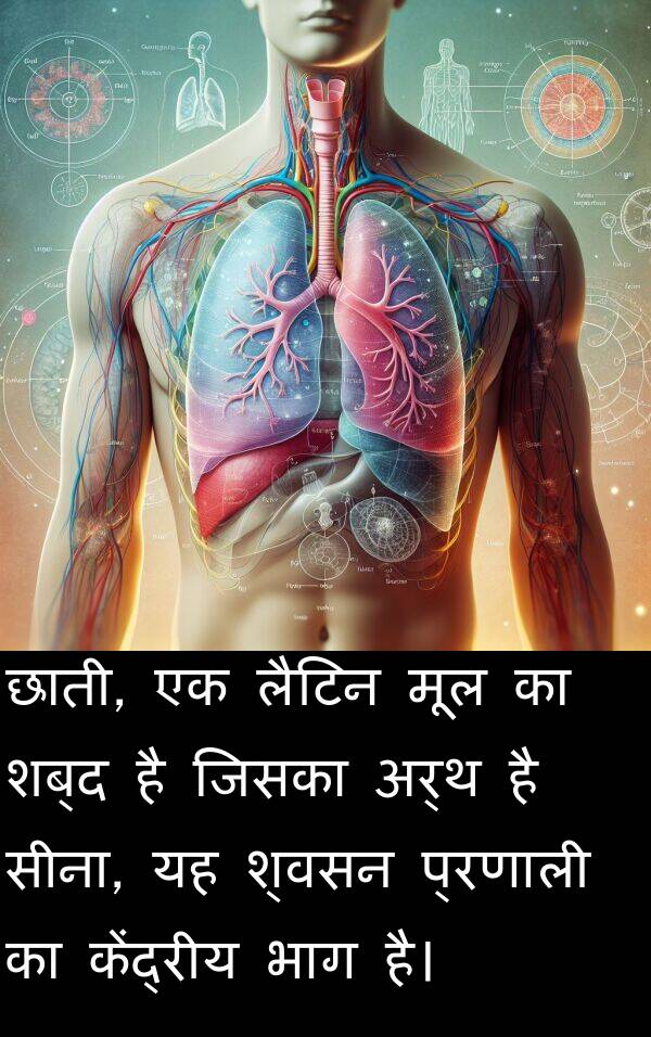 लैटिन: छाती, एक लैटिन मूल का शब्द है जिसका अर्थ है सीना, यह श्वसन प्रणाली का केंद्रीय भाग है।