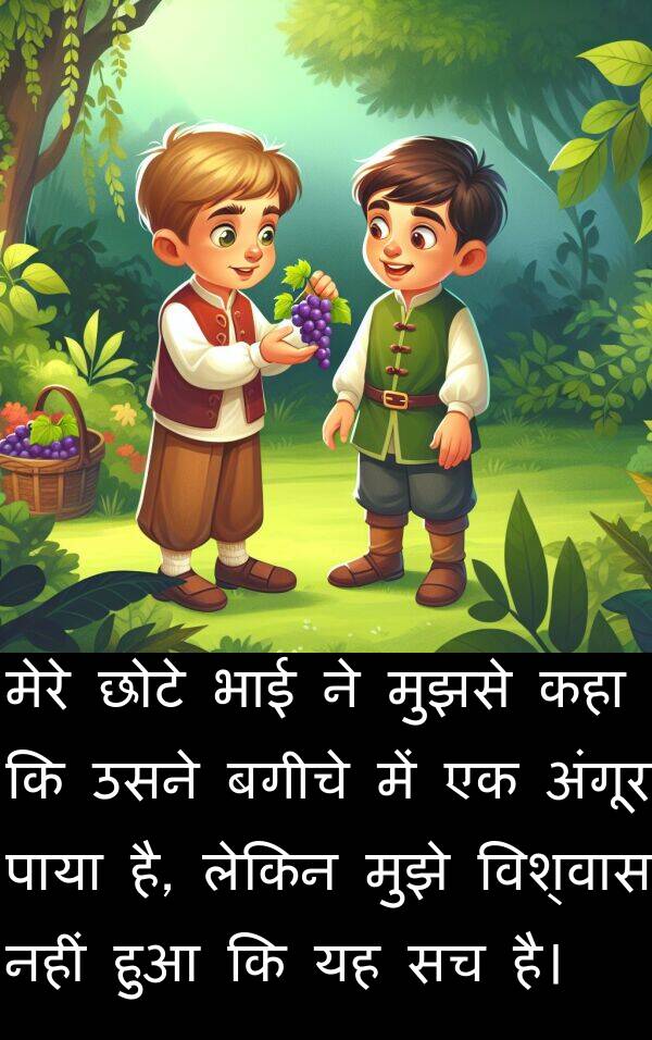 छोटे: मेरे छोटे भाई ने मुझसे कहा कि उसने बगीचे में एक अंगूर पाया है, लेकिन मुझे विश्वास नहीं हुआ कि यह सच है।