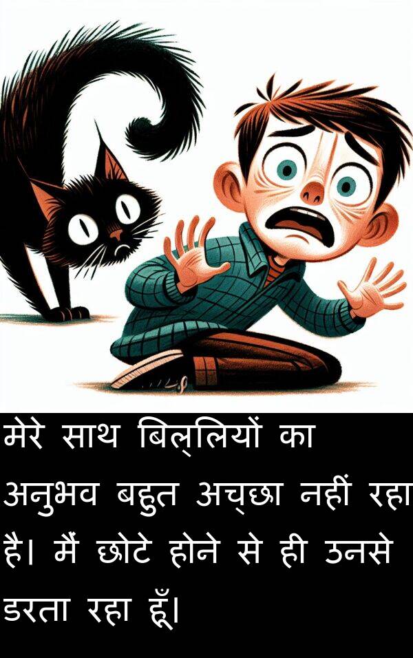 छोटे: मेरे साथ बिल्लियों का अनुभव बहुत अच्छा नहीं रहा है। मैं छोटे होने से ही उनसे डरता रहा हूँ।