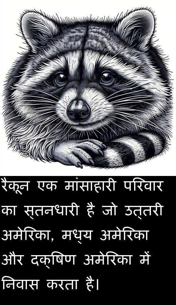 उत्तरी: रैकून एक मांसाहारी परिवार का स्तनधारी है जो उत्तरी अमेरिका, मध्य अमेरिका और दक्षिण अमेरिका में निवास करता है।