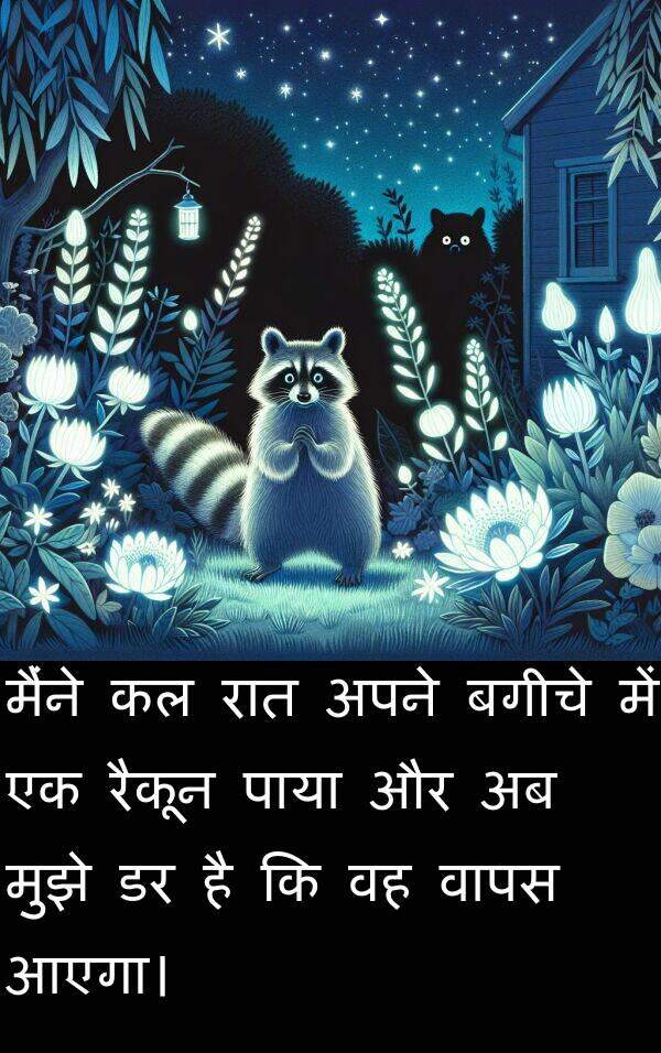 वापस: मैंने कल रात अपने बगीचे में एक रैकून पाया और अब मुझे डर है कि वह वापस आएगा।